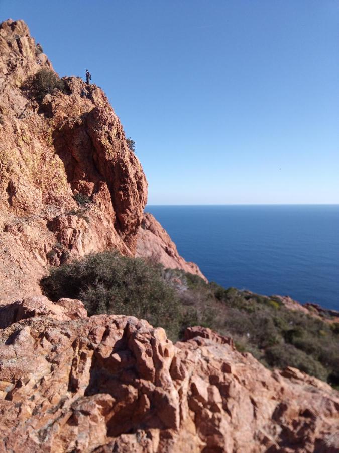 Frejus Plage, Appartement Entier , Piscine,Parking,Plage A 200M エクステリア 写真